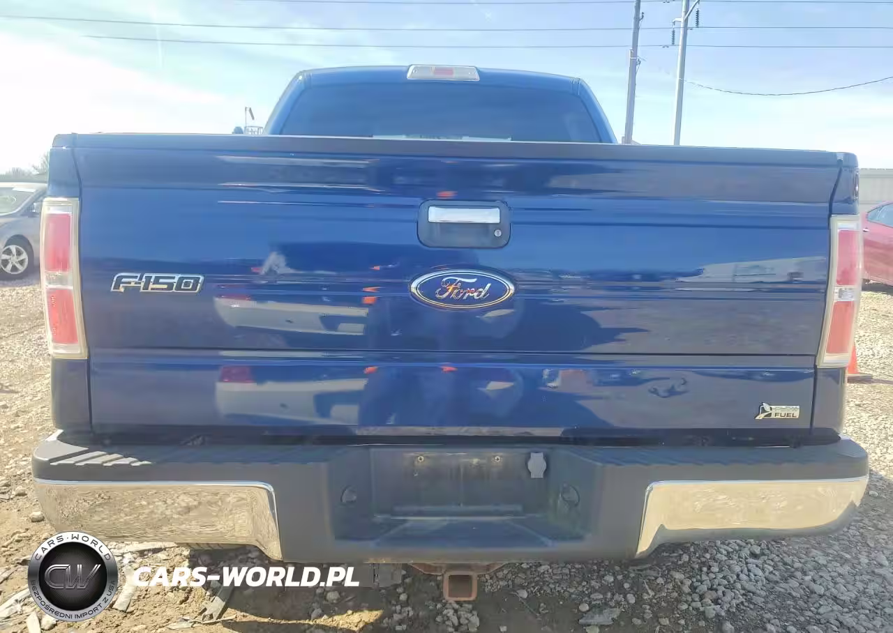 2010 Ford F150 Supercrew VIN:1FTFW1EV6AFD02927 - 6