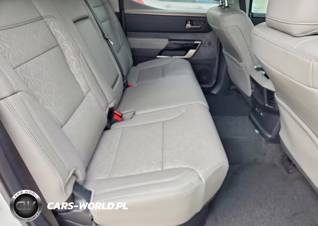 2023 Toyota Tundra Limited Hv VIN:5TFJC5DB6PX038841 - 10