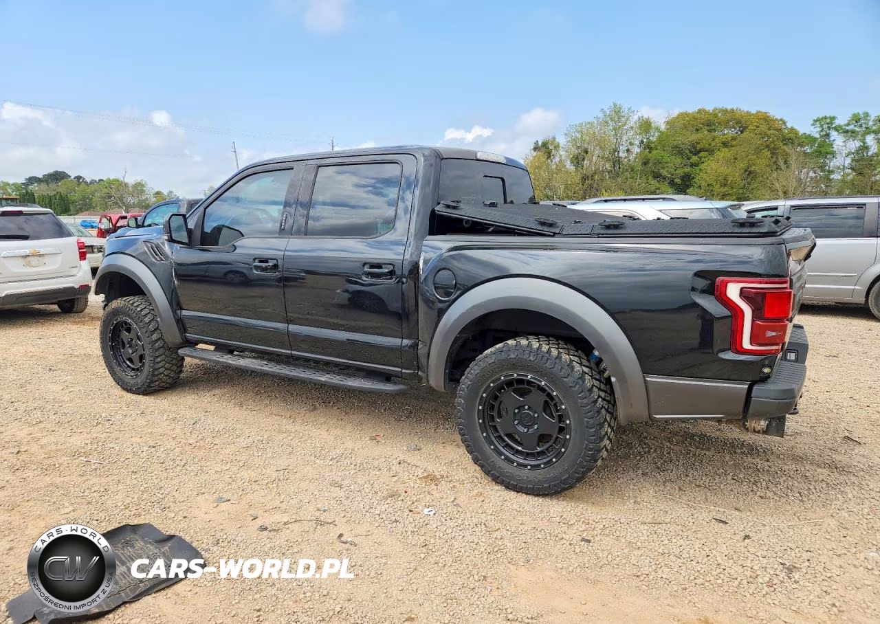 2018 Ford F150 Raptor VIN:1FTFW1RG8JFC14845 - 2