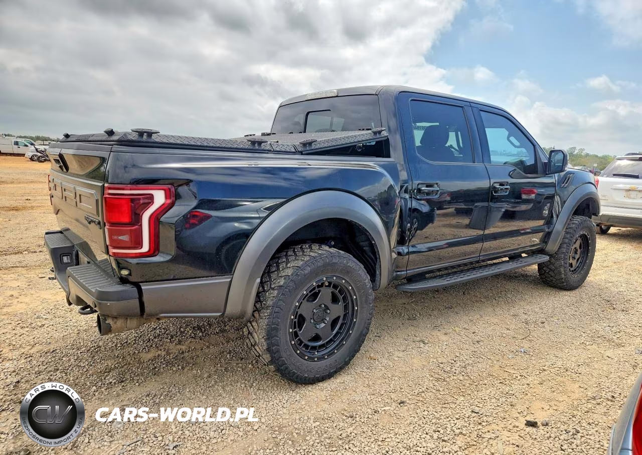 2018 Ford F150 Raptor VIN:1FTFW1RG8JFC14845 - 3