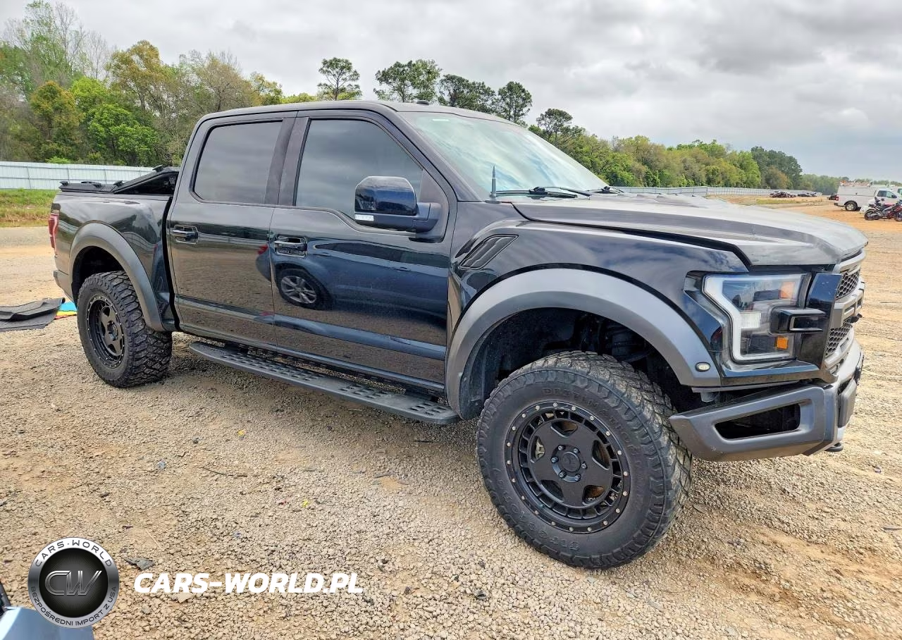 2018 Ford F150 Raptor VIN:1FTFW1RG8JFC14845 - 4