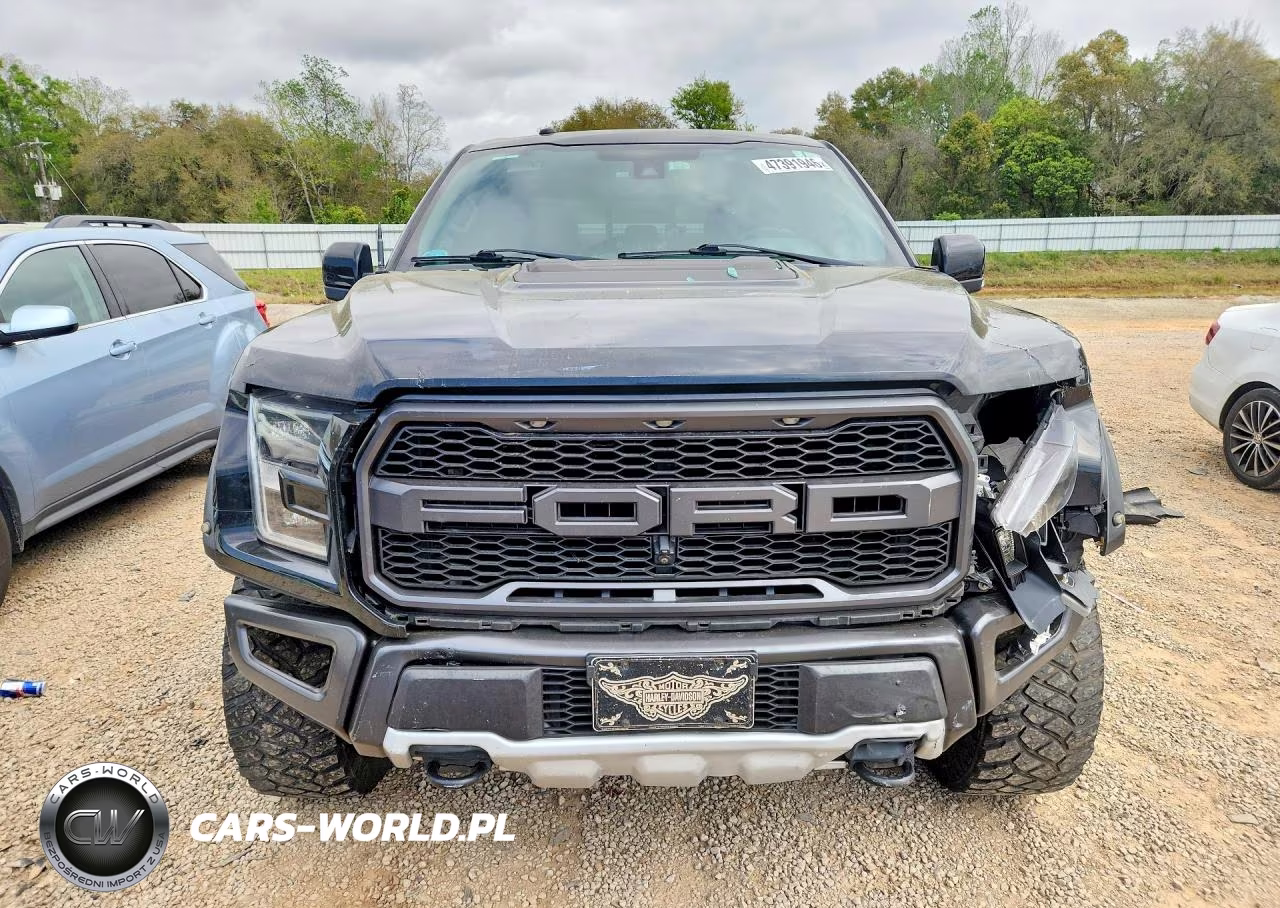 2018 Ford F150 Raptor VIN:1FTFW1RG8JFC14845 - 5