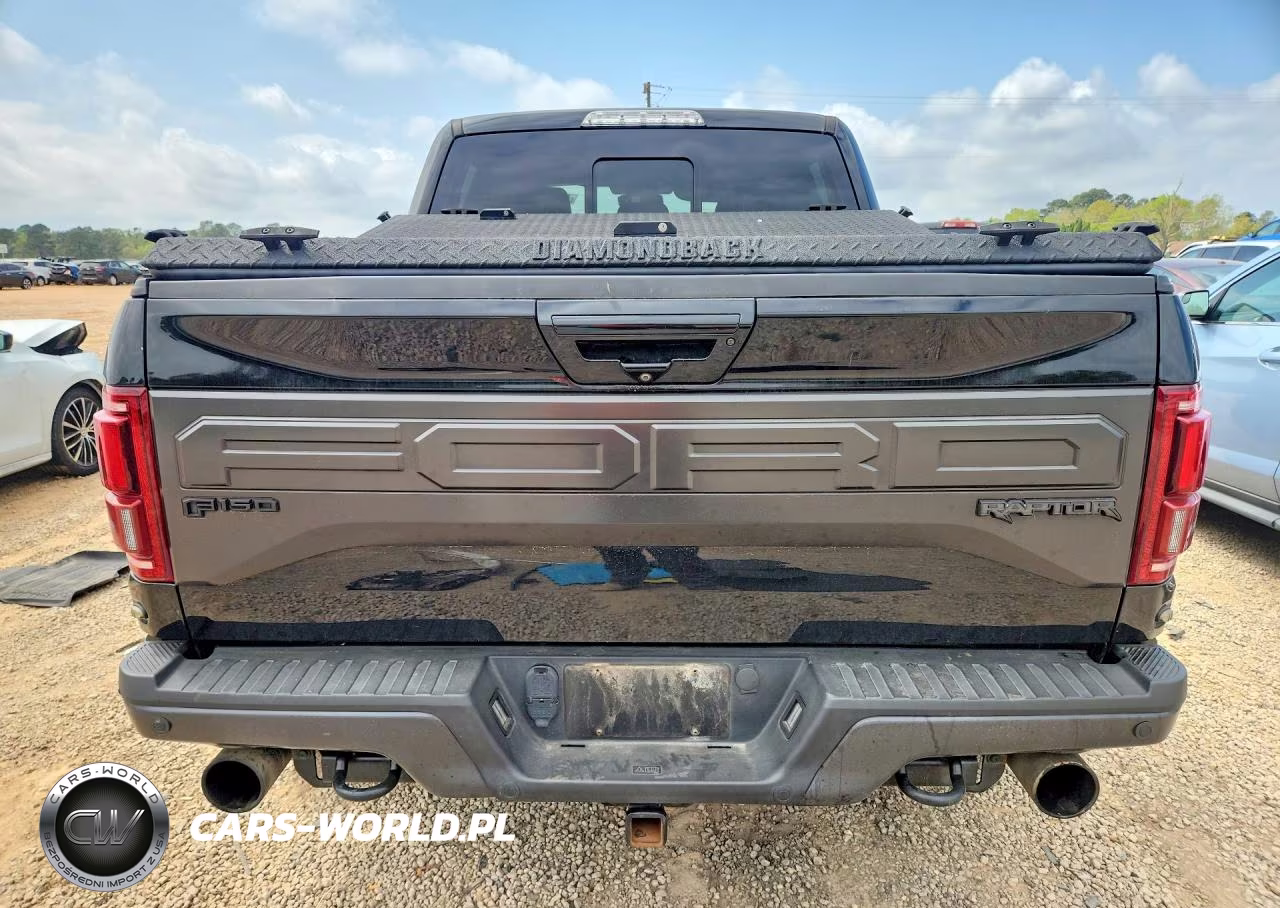 2018 Ford F150 Raptor VIN:1FTFW1RG8JFC14845 - 6