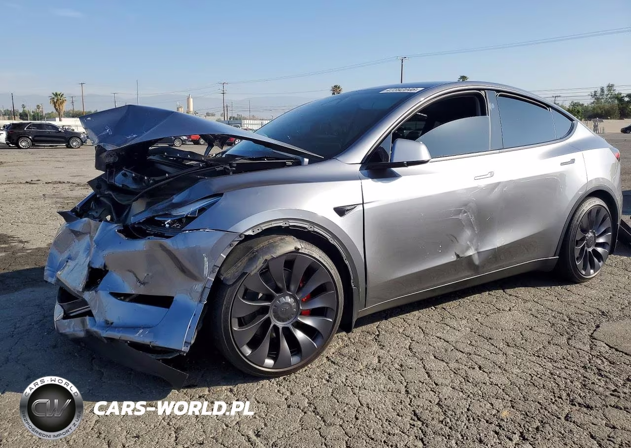 2024 Tesla Model Y
