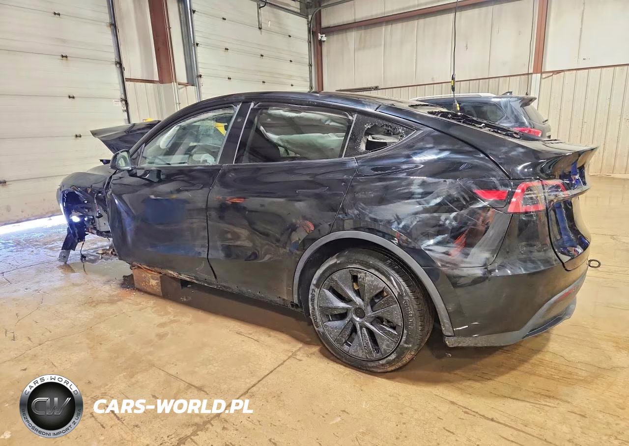 2025 Tesla Model Y VIN:7SAYGDED7SF241191 - 2