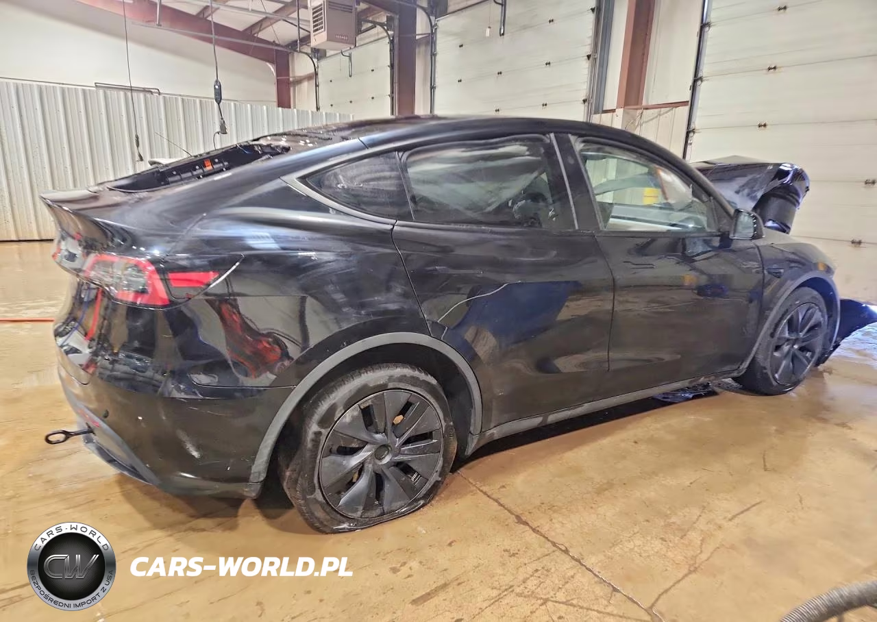 2025 Tesla Model Y VIN:7SAYGDED7SF241191 - 3