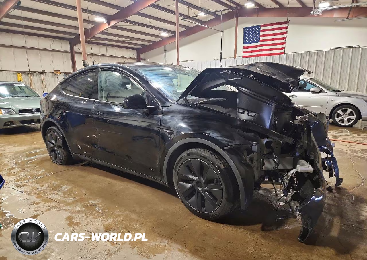 2025 Tesla Model Y VIN:7SAYGDED7SF241191 - 4