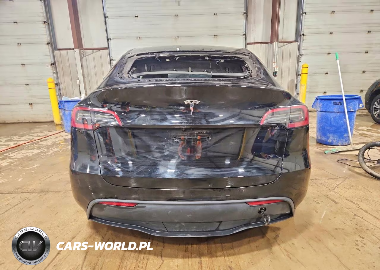 2025 Tesla Model Y VIN:7SAYGDED7SF241191 - 6