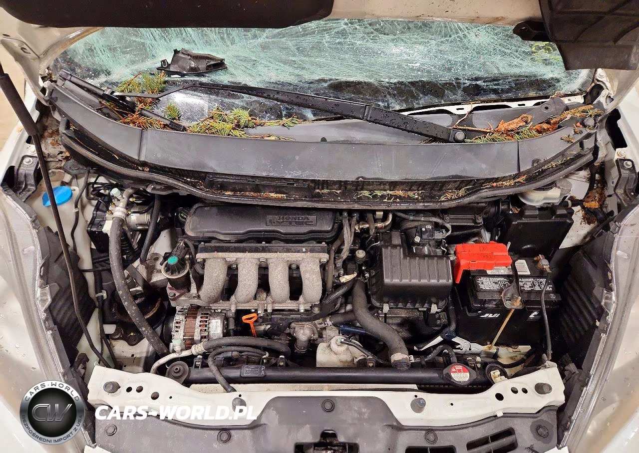 2013 Honda Fit VIN:JHMGE8G38DC024984 - 11