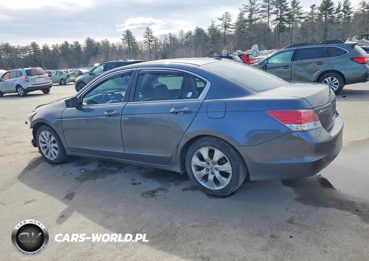 2010 Honda Accord VIN:1HGCP2F84AA084371 - 2