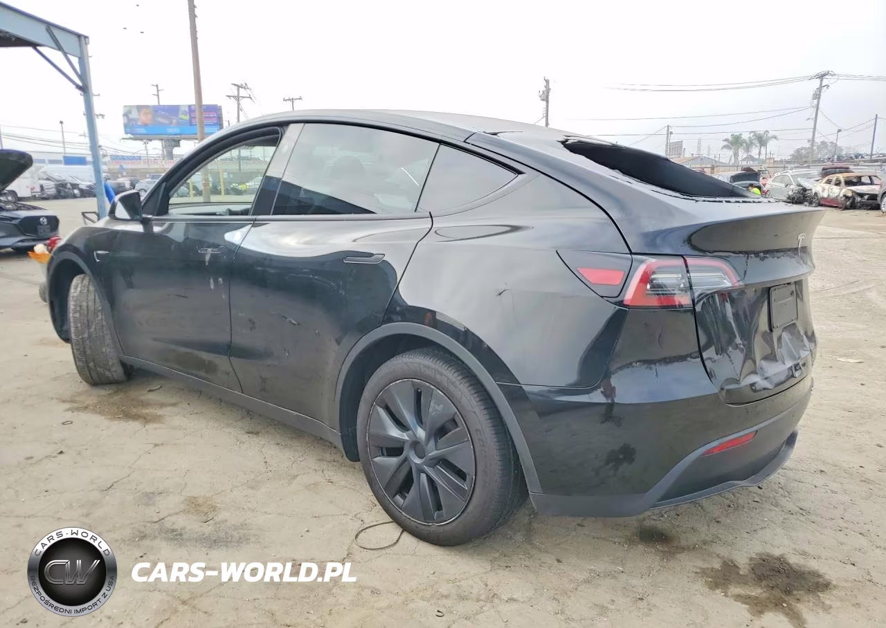 2024 Tesla Model Y VIN:7SAYGDED2RF158939 - 2