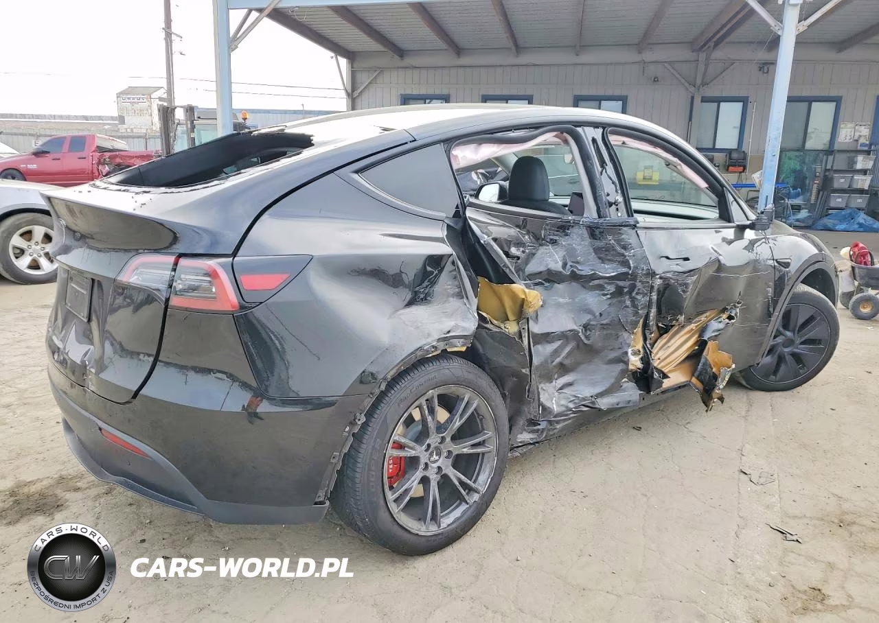 2024 Tesla Model Y VIN:7SAYGDED2RF158939 - 3