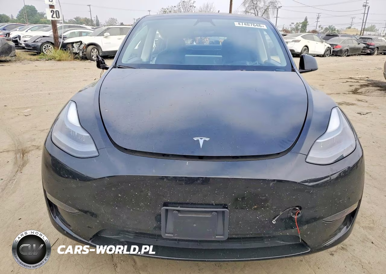 2024 Tesla Model Y VIN:7SAYGDED2RF158939 - 5