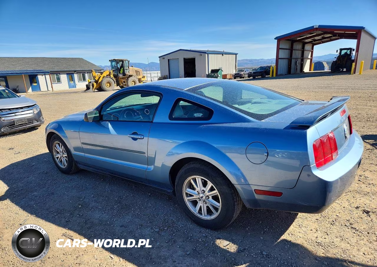2006 Ford Mustang VIN:1ZVFT80NX65222324 - 2