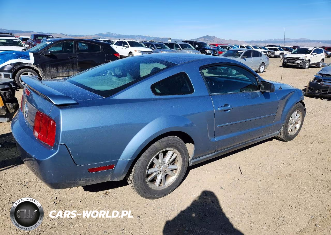 2006 Ford Mustang VIN:1ZVFT80NX65222324 - 3