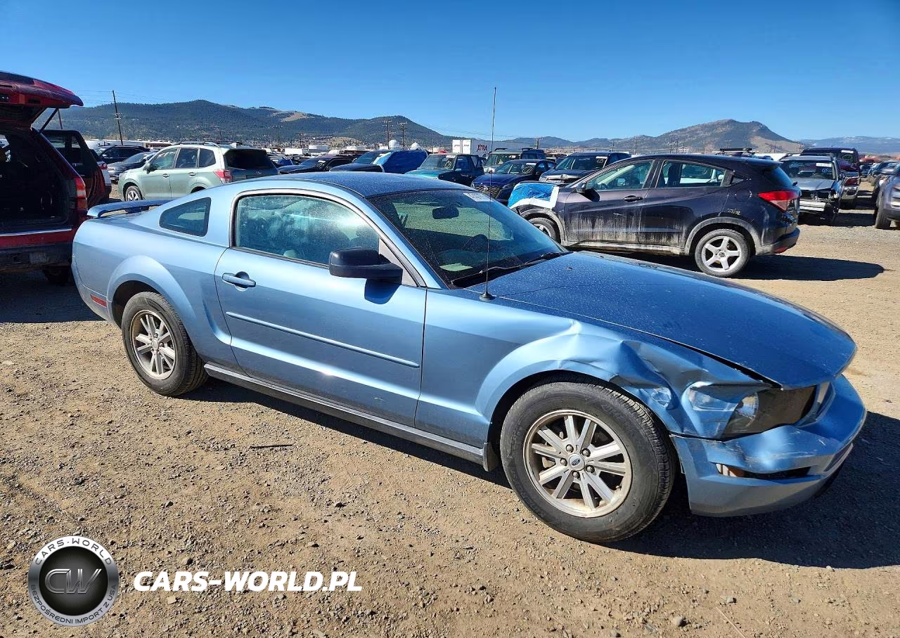 2006 Ford Mustang VIN:1ZVFT80NX65222324 - 4