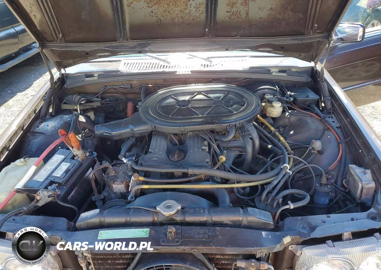 1975 Merz 280-Class VIN:11602012047430 - 11