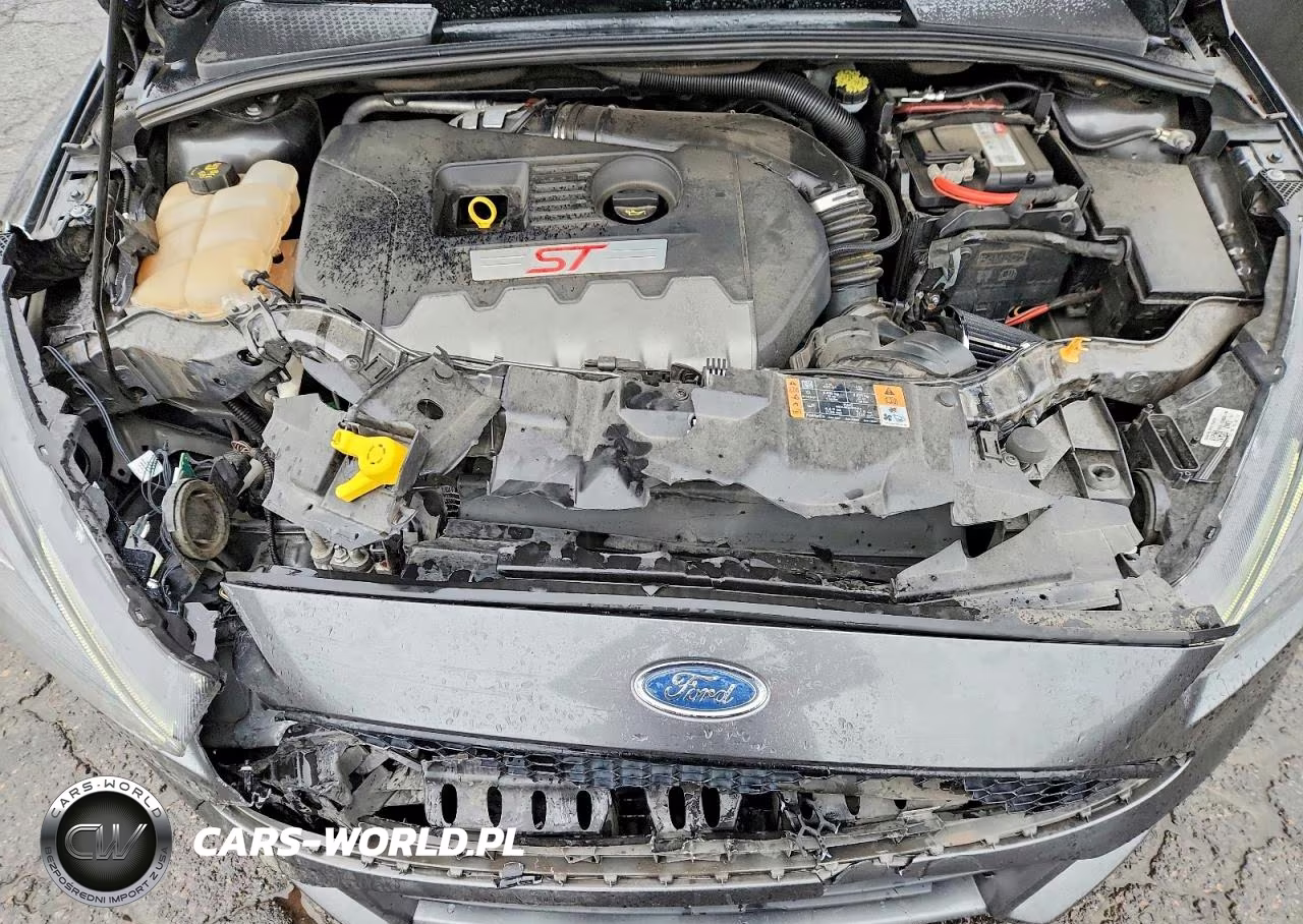 2018 Ford Focus St VIN:1FADP3L97JL260085 - 11