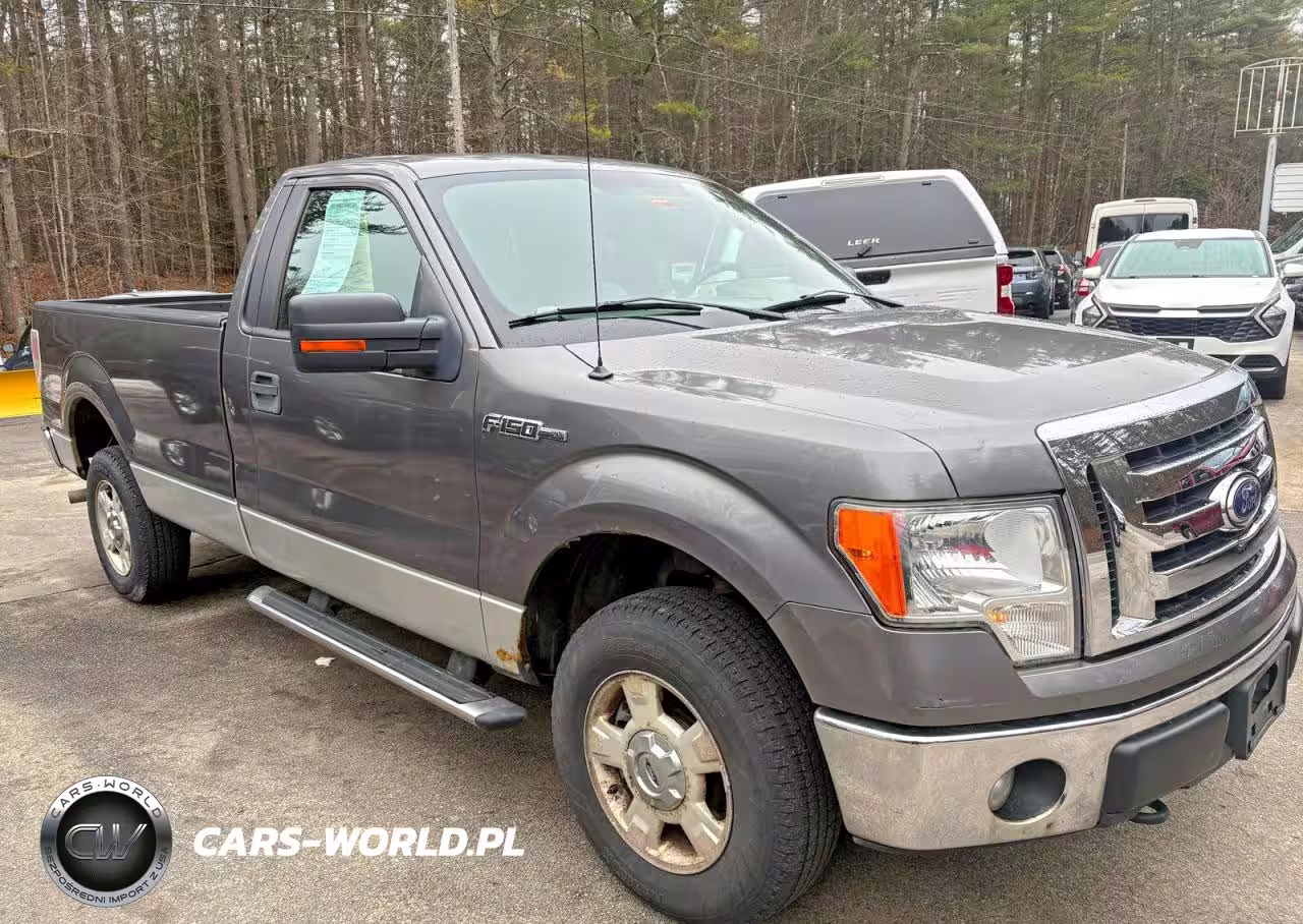 2010 Ford F150