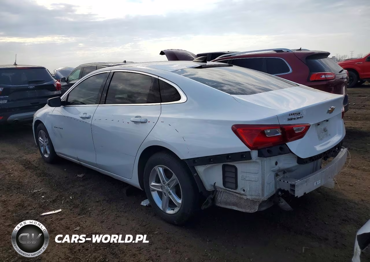 2019 Chevrolet Malibu Ls VIN:1G1ZB5ST5KF197603 - 2