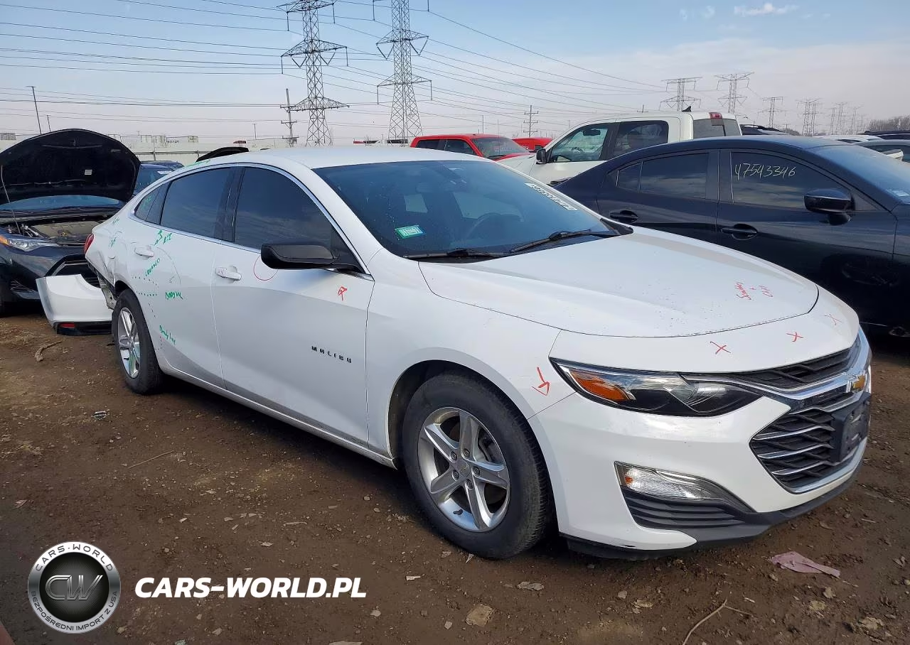 2019 Chevrolet Malibu Ls VIN:1G1ZB5ST5KF197603 - 4