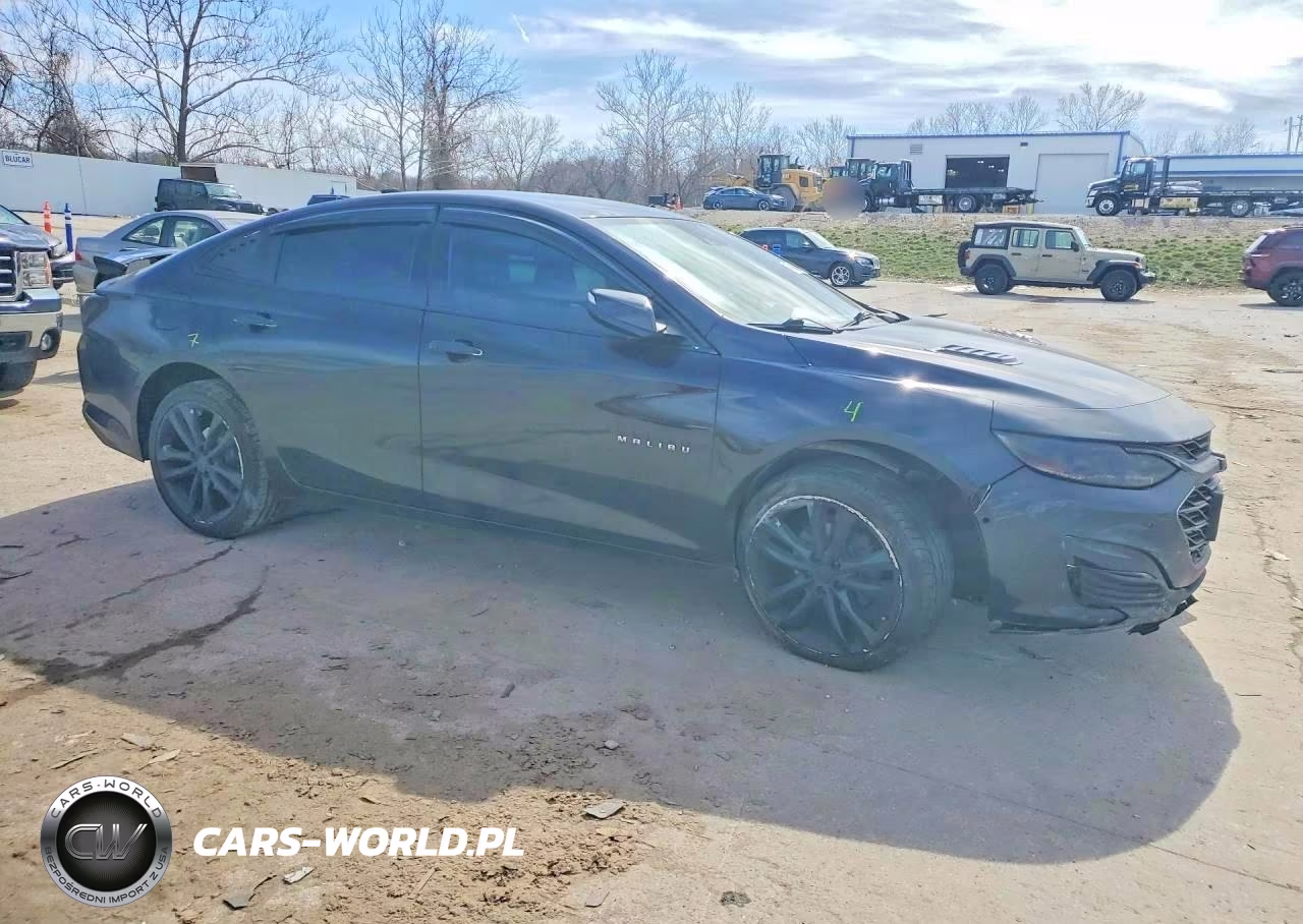 2019 Chevrolet Malibu Premier VIN:1G1ZE5SX8KF153816 - 4
