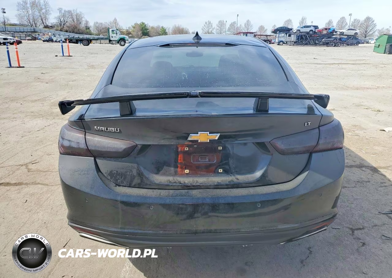 2019 Chevrolet Malibu Premier VIN:1G1ZE5SX8KF153816 - 6
