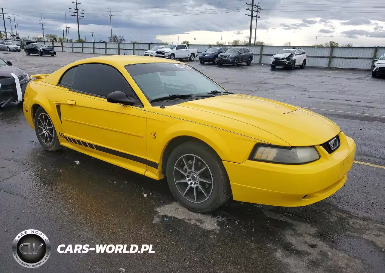2004 Ford Mustang VIN:1FAFP406X4F204556 - 4