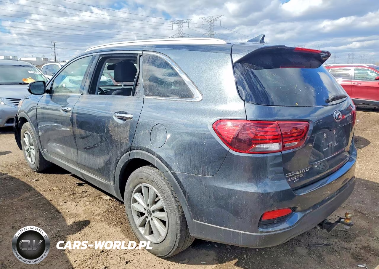 2019 Kia Sorento Lx VIN:5XYPGDA39KG600295 - 2