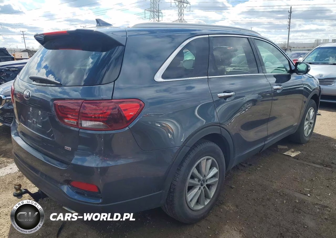 2019 Kia Sorento Lx VIN:5XYPGDA39KG600295 - 3
