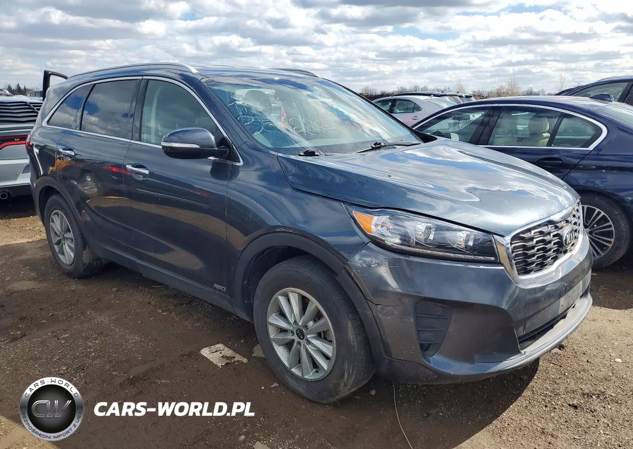 2019 Kia Sorento Lx VIN:5XYPGDA39KG600295 - 4