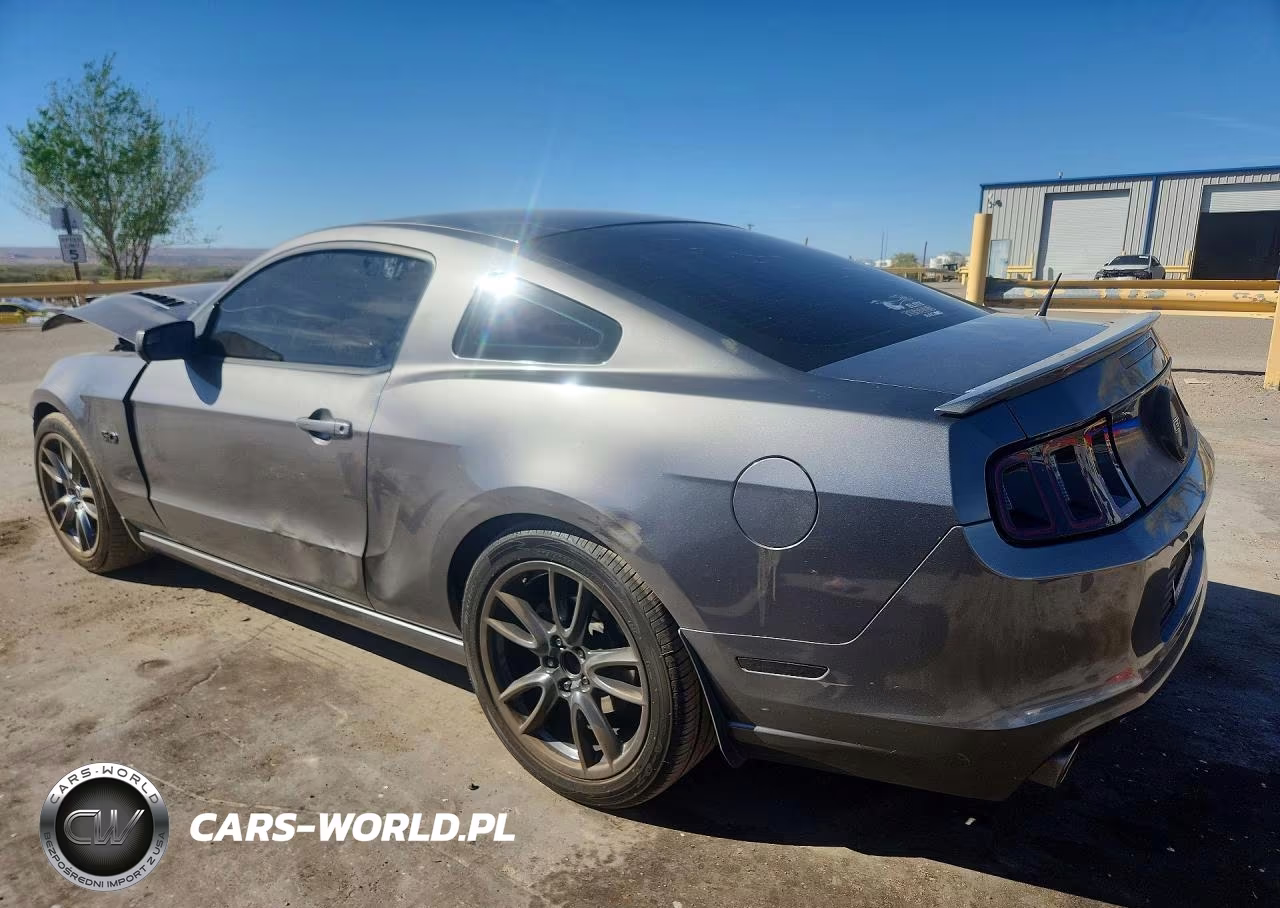 2014 Ford Mustang Gt VIN:1ZVBP8CF0E5246900 - 2