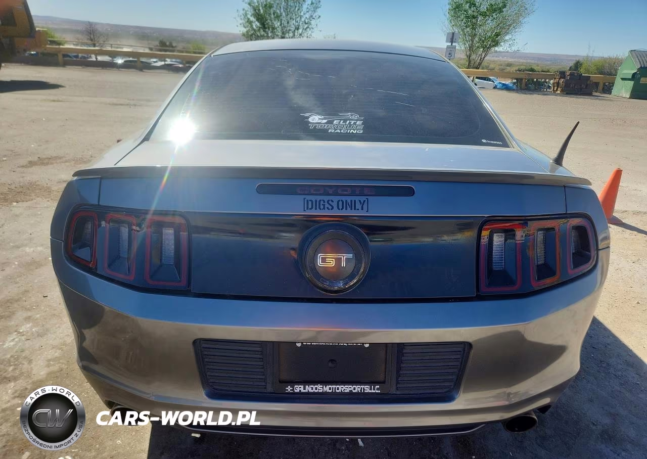 2014 Ford Mustang Gt VIN:1ZVBP8CF0E5246900 - 6