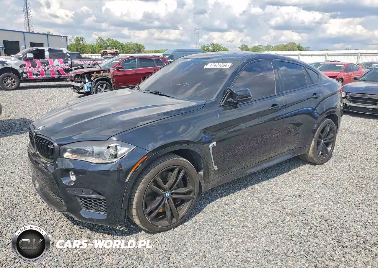 2019 BMW X6 M