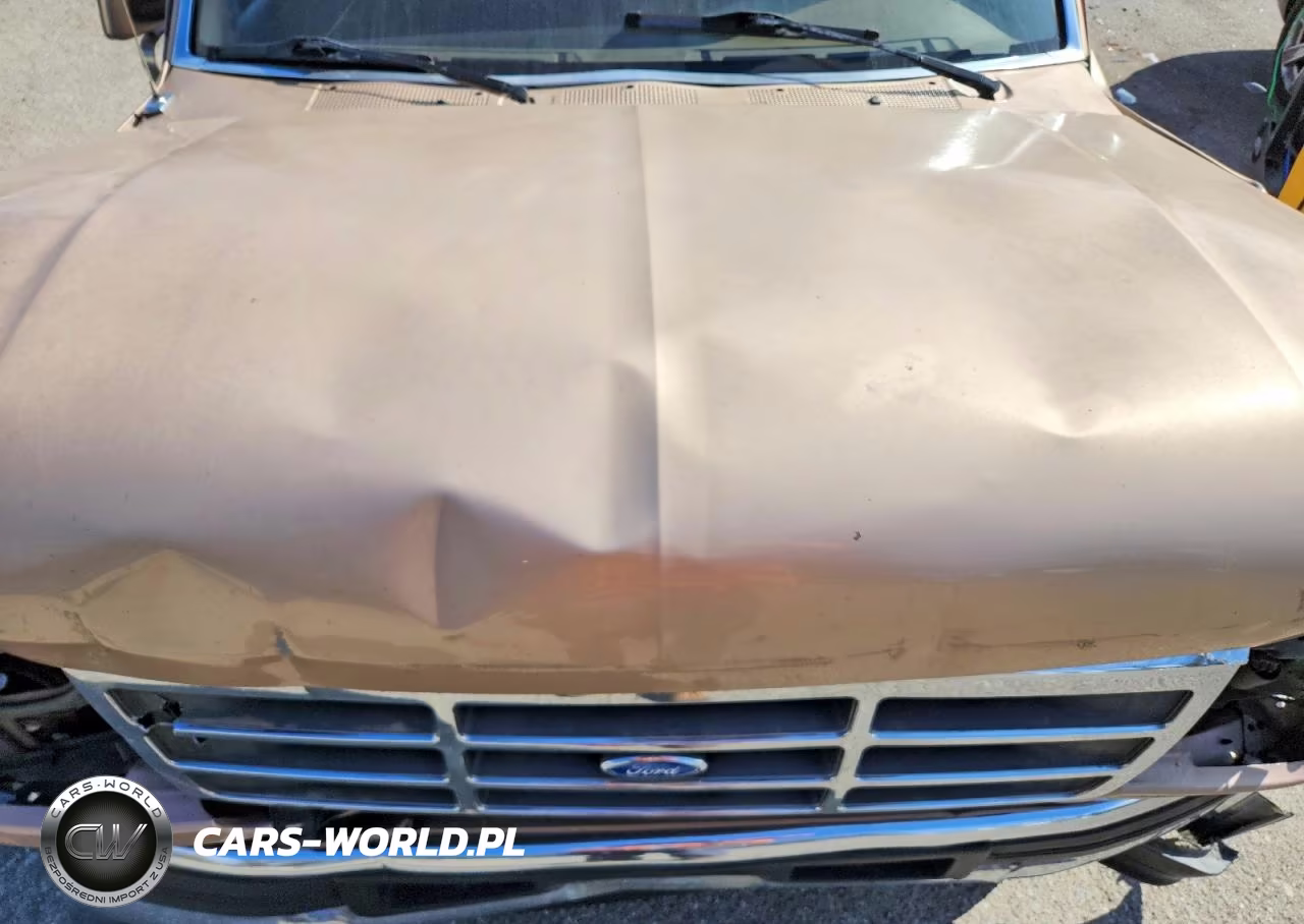 1996 Ford F150 VIN:1FTEF15Y7TLA96365 - 11