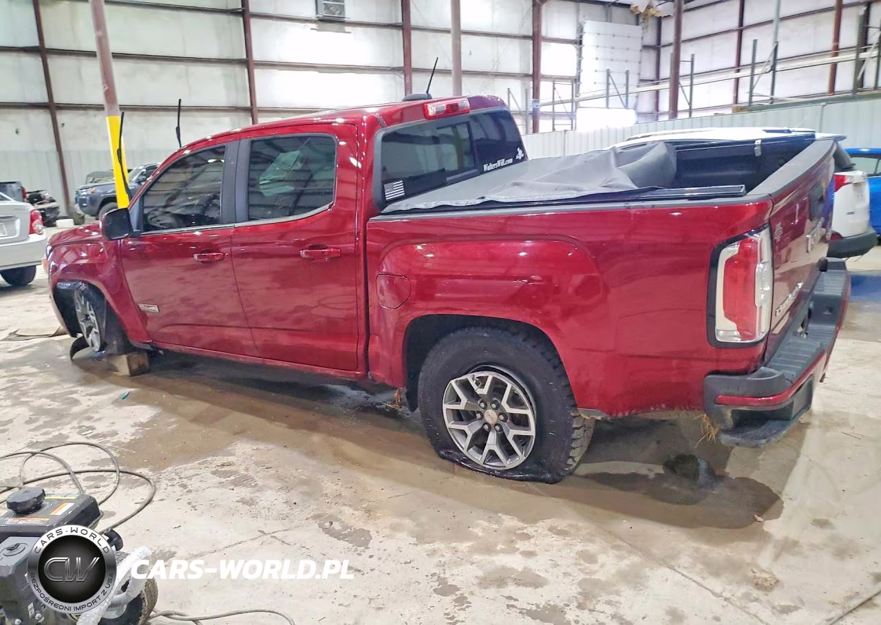 2019 GMC Canyon All Terrain VIN:1GTG6FEN7K1342126 - 2