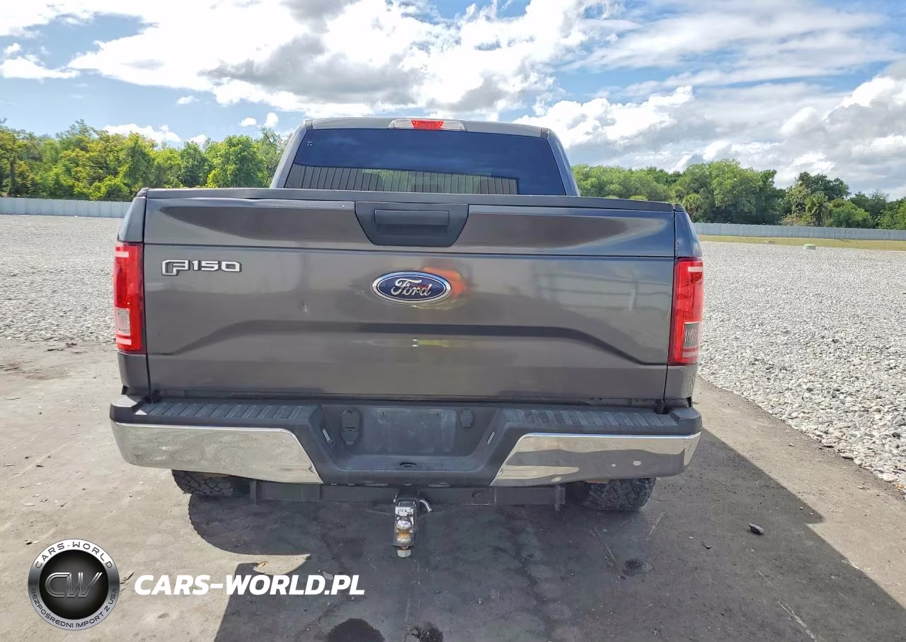 2016 Ford F150 Supercrew VIN:1FTEW1CG7GFA88054 - 6