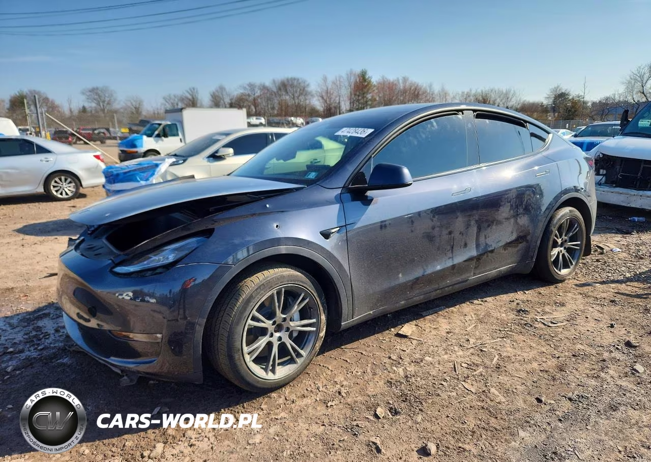 2025 Tesla Model Y