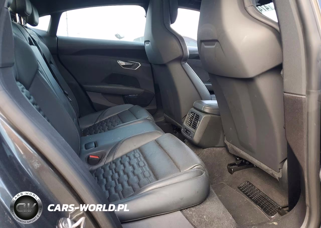 2024 Audi E-Tron Gt Premium Plus VIN:WAUCJBFW8R7003716 - 10
