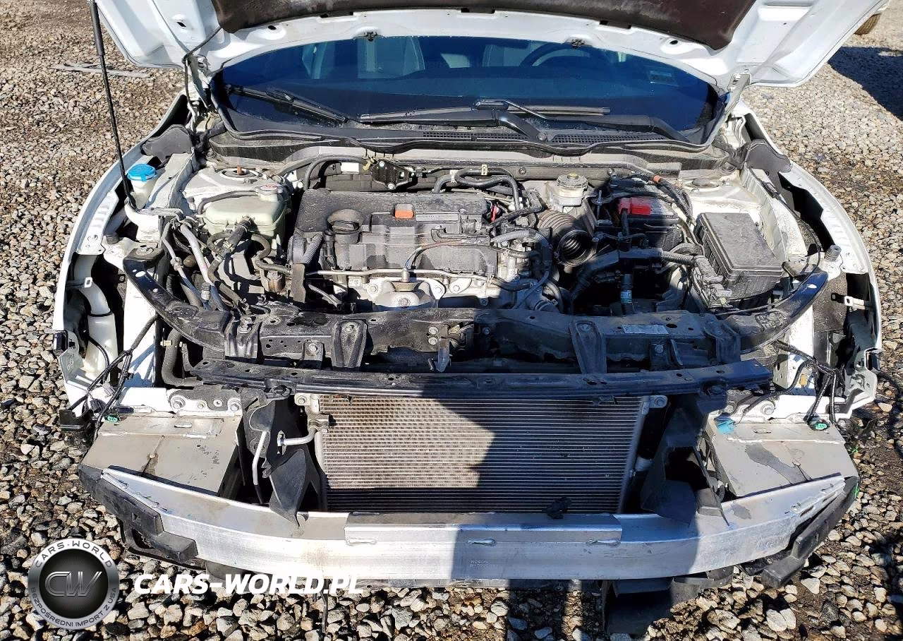 2019 Honda Civic Sport VIN:2HGFC2E88KH542720 - 11