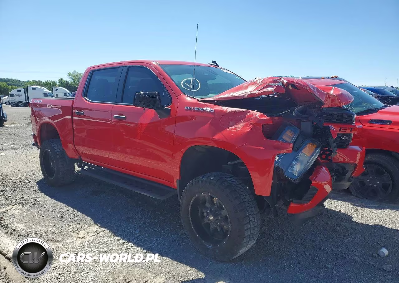 2019 Chevrolet Silverado K1500 Custom VIN:3GCUYBEF8KG292837 - 4