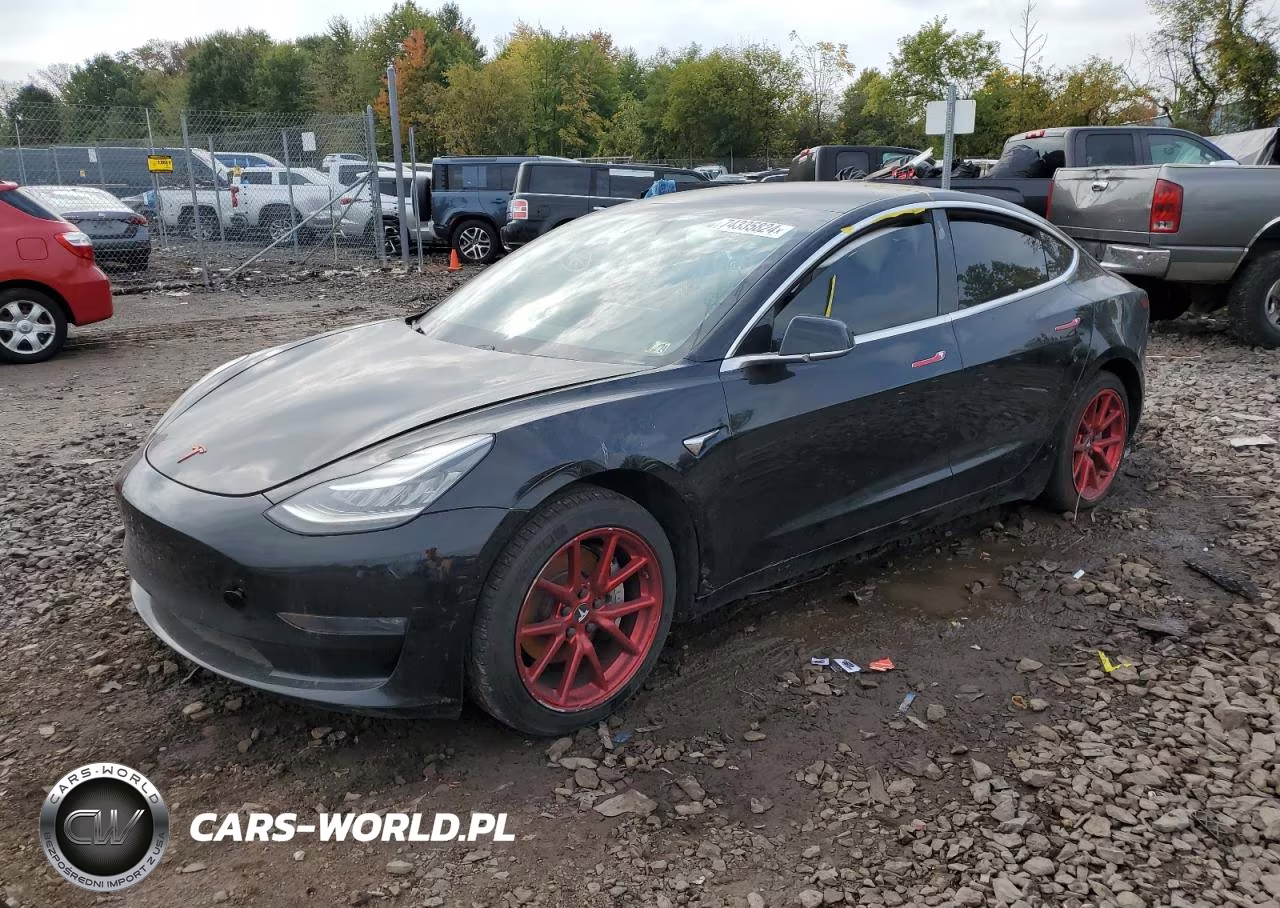 2019 Tesla Model 3 VIN:5YJ3E1EAXKF395556 - 1