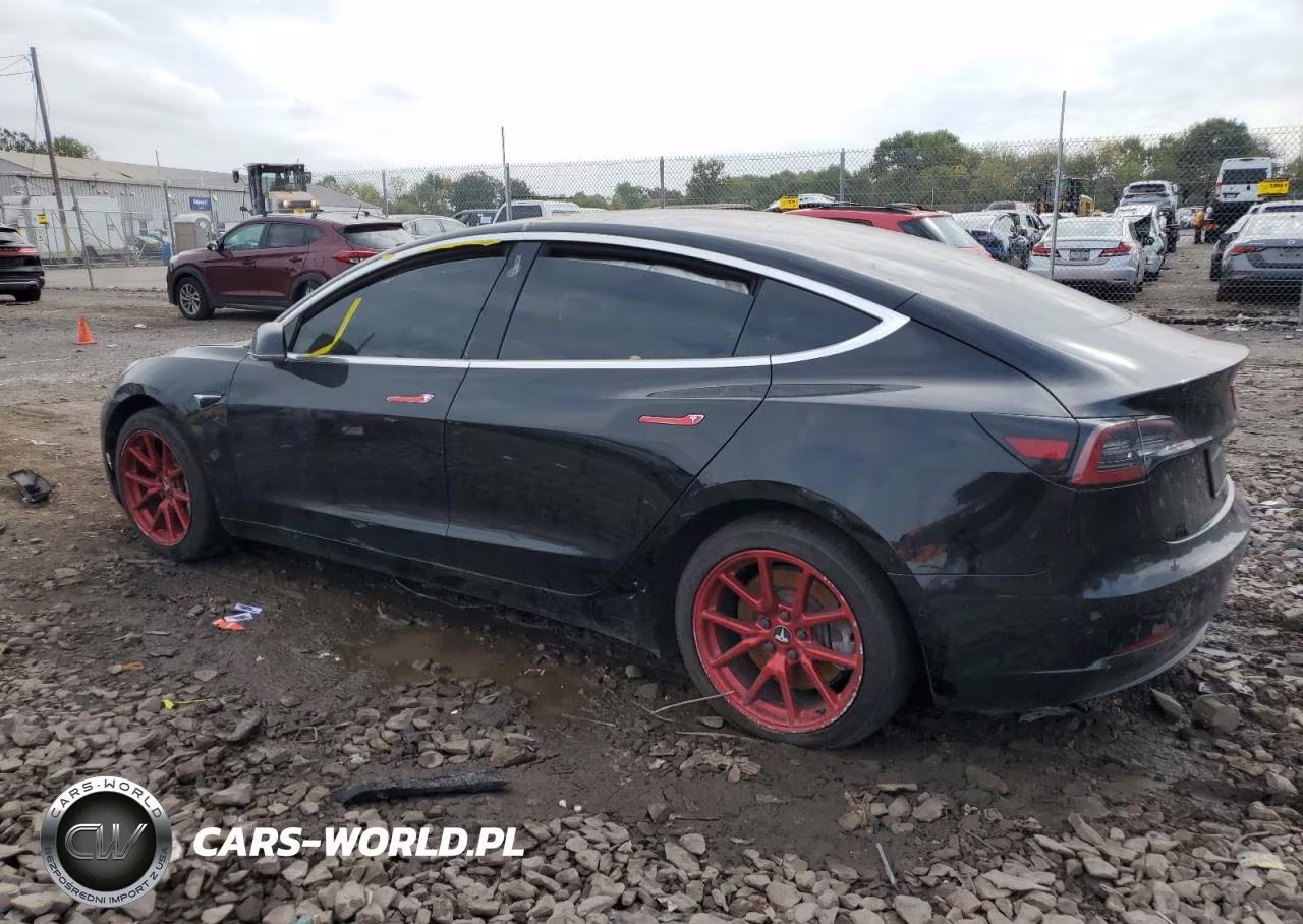 2019 Tesla Model 3 VIN:5YJ3E1EAXKF395556 - 2