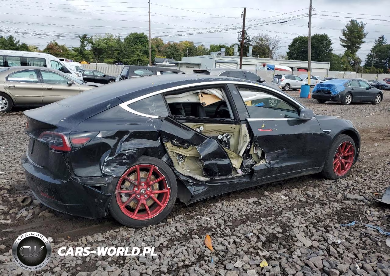 2019 Tesla Model 3 VIN:5YJ3E1EAXKF395556 - 3