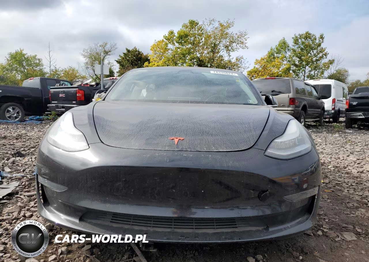 2019 Tesla Model 3 VIN:5YJ3E1EAXKF395556 - 5