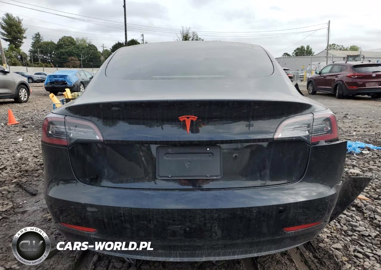 2019 Tesla Model 3 VIN:5YJ3E1EAXKF395556 - 6