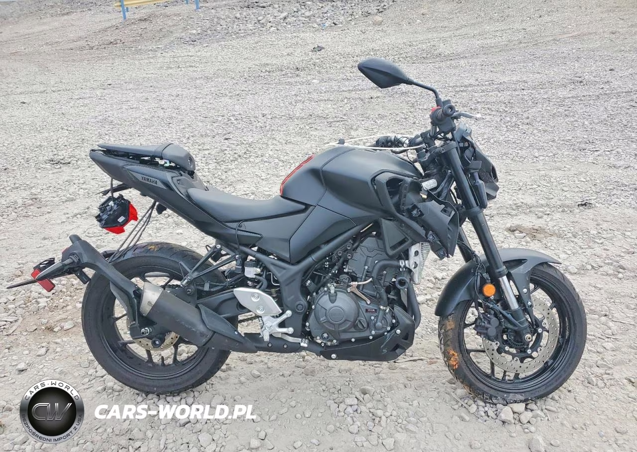 2025 Yamaha Mtn320 A