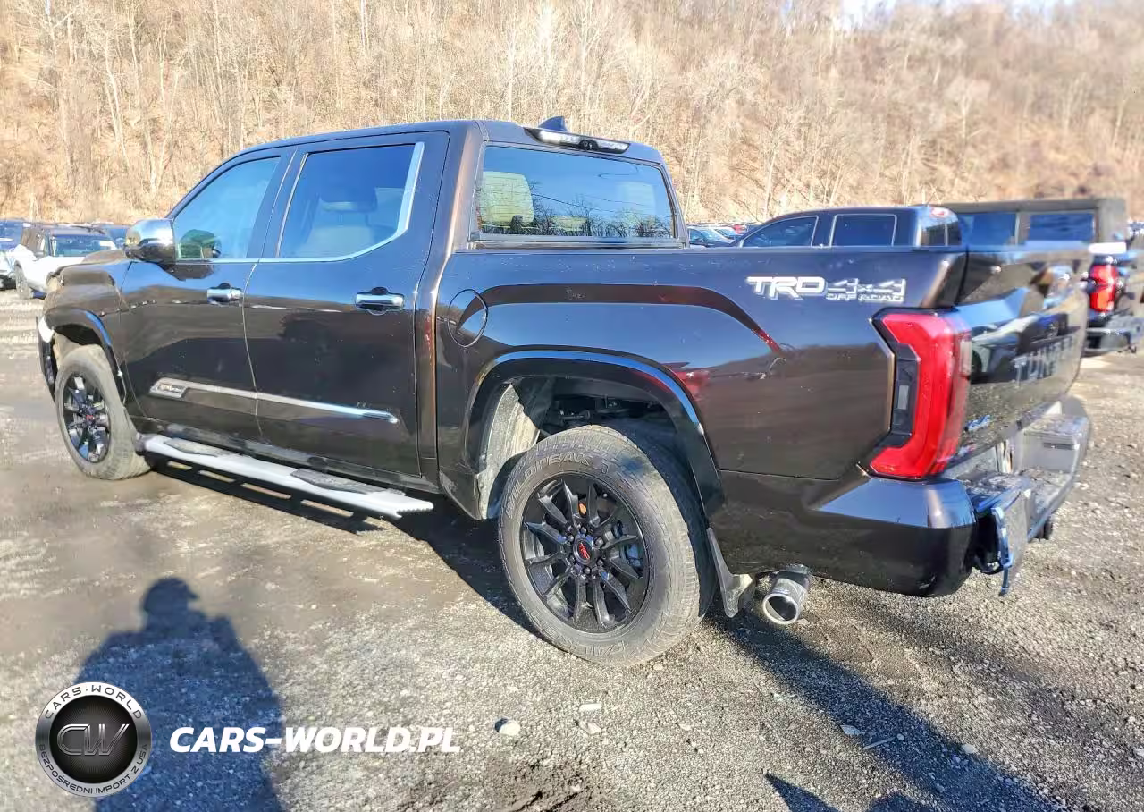 2024 Toyota Tundra Crewmax Platinum VIN:5TFMC5DB3RX042474 - 2