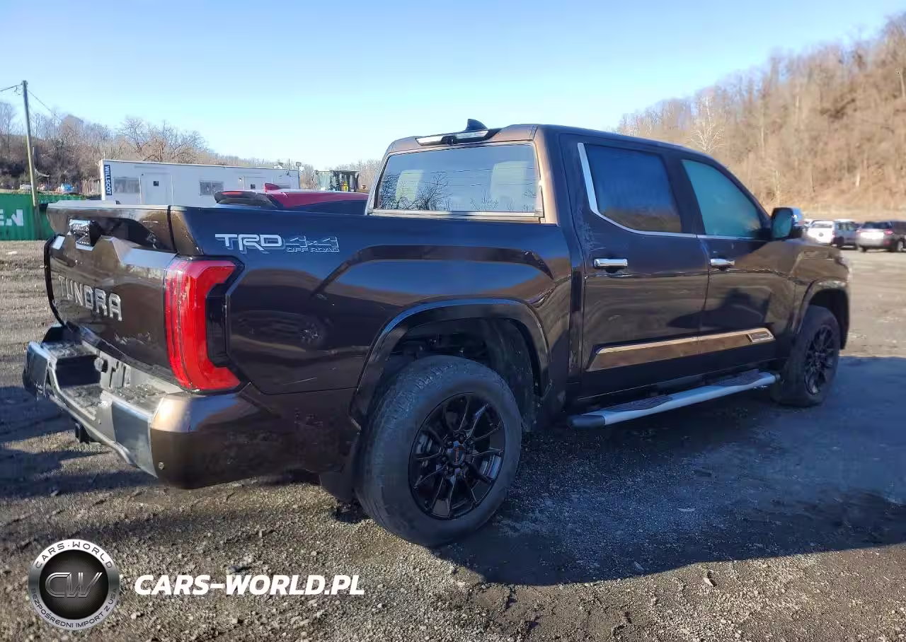 2024 Toyota Tundra Crewmax Platinum VIN:5TFMC5DB3RX042474 - 3