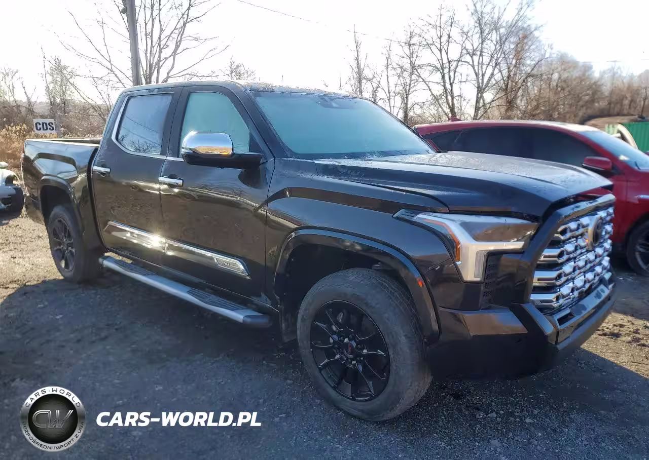 2024 Toyota Tundra Crewmax Platinum VIN:5TFMC5DB3RX042474 - 4